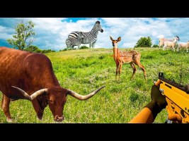 Wild Hunter Animal Hunting Android Gameplay