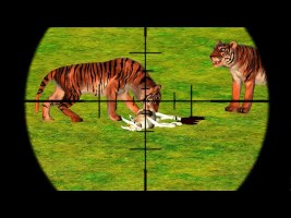 Wild Animal Hunting : Deadly Dino Hunt Shooting Android Gameplay