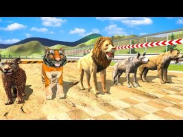 Animal Racing Simulator: Wild Animals Race Game Android Gameplay