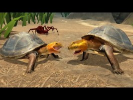 Animal Planet Gaming – Box Turtle Simulator Android Gameplay